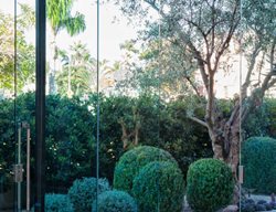 Entry Court, Olive Tree
Scott Shrader
West Hollywood, CA