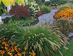 Entry Garden
Morty Bachar / Patty Storms
Lewes, DE