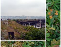 Entry To High Line 
Garden Design
Calimesa, CA