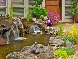 Entryway Waterfall
Garden Design
Calimesa, CA