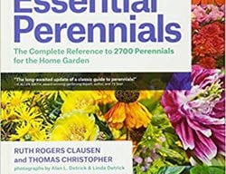 Essential Perennials, Perennial Plants
Garden Design
Calimesa, CA