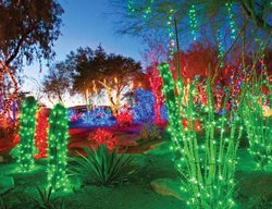 Ethelm Cactus Garden By Christopher Devargas 
Garden Design
Calimesa, CA