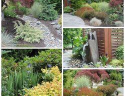 Everything Zen
Garden Design
Calimesa, CA