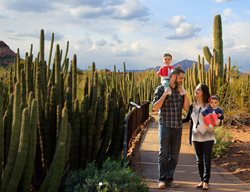 Explore The Desert Botanical Garden
Garden Design
Calimesa, CA