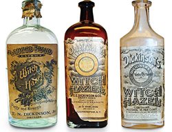 Extract
Garden Design
Calimesa, CA