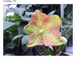 Facebook Post, North Haven Gardens
Garden Design
Calimesa, CA