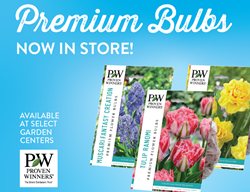 Fall Bulbs Billboard
Proven Winners
Sycamore, IL