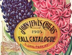 Fall Catalogue
Garden Design
Calimesa, CA