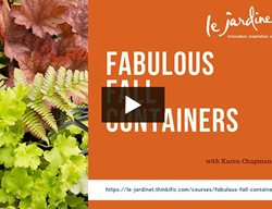 Fall Containers
Garden Design
Calimesa, CA