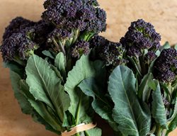 Fall Crops
Garden Design
Calimesa, CA