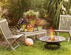 Fall Fire Pit And Chairs
Proven Winners
Sycamore, IL