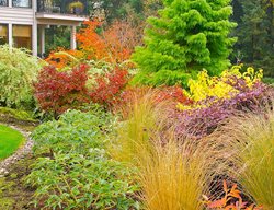Fall Garden, Garden Bed
Garden Diva Designs
Hillsboro, OR