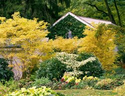 Fall Garden
Garden Design
Calimesa, CA