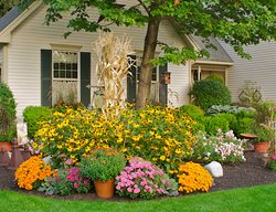 Fall Gardening Ideas, Fall Gardening Tips
Garden Design
Calimesa, CA