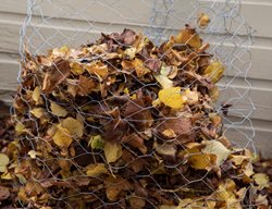 Fall Leaves In Chicken Wire
Shutterstock.com
New York, NY