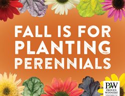 Fall Perennials Billboard
Proven Winners
Sycamore, IL