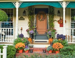 Fall Porch Plants, Fall Door, Fall Plants
Garden Design
Calimesa, CA
