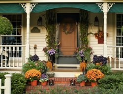 Fall Porch Plants, Fall Door, Fall Plants
Garden Design
Calimesa, CA
