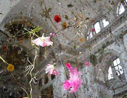 Falling Garden 
Garden Design
Calimesa, CA