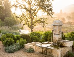 Farm Chic
Garden Design
Calimesa, CA