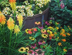 Farwest, Portland
Garden Design
Calimesa, CA