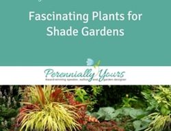 Fascinating Plants For Shade Gardens
Garden Design
Calimesa, CA