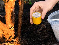 Feed Hungry Plants
Garden Design
Calimesa, CA