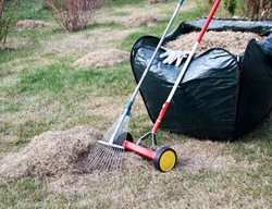 Fertilize Cool-Season Lawns
Garden Design
Calimesa, CA