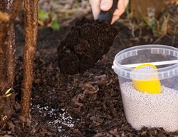 Fertilize Trees And Shrubs One Last Time
Garden Design
Calimesa, CA