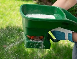 Fertilize Your Lawn
Garden Design
Calimesa, CA