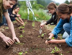 Fiber Shed
Garden Design
Calimesa, CA