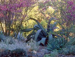Find Garden Tours & Classes
Garden Design
Calimesa, CA