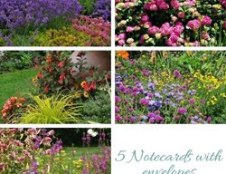 Floral Notecards
Perennially Yours
PA