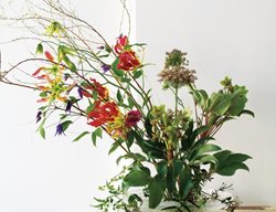 Floral Toolbox 
Garden Design
Calimesa, CA