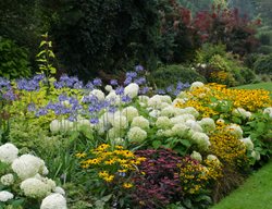 Flower Border In English Garden
Shutterstock.com
New York, NY