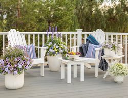 Flower Containers And Patio Chairs
Proven Winners
Sycamore, IL