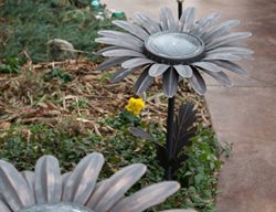 Flower Lights, Garden Daisy Lights
Desert Steel
