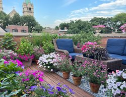 Flower Pots In Rooftop Garden
Garden Design
Calimesa, CA