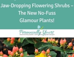 Flowering Shrubs Course
Perennially Yours
PA