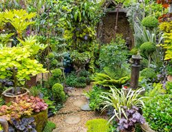 Foliage Garden In Uk
Garden Design
Calimesa, CA