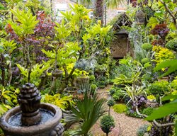 Foliage Garden With Fountain
Garden Design
Calimesa, CA
