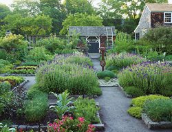 Food Garden, Veggie Garden
Garden Design
Calimesa, CA