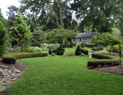 Formal Hedges Of Dead Ends Gardens
Garden Design
Calimesa, CA