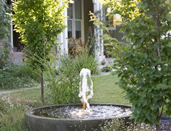 Fountain In Garden
Garden Design
Calimesa, CA