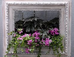 Frame Planter, Diy Wall Planter
Proven Winners
Sycamore, IL