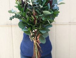 Fresh Greens, Holiday Centerpiece
Kendall Farms
Fallbrook, CA