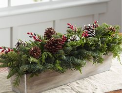 Fresh Holiday Centerpiece, Holiday Arrangement
Garden Design
Calimesa, CA