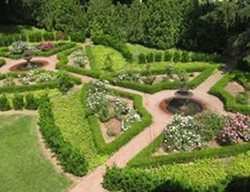 From Parking Lot To Rose Garden
Garden Design
Calimesa, CA