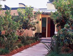 Front Entry Plants, Madrone Trees
Ground Studio
Monterey, CA