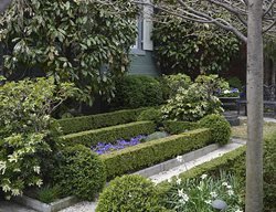 Front Garden In Georgetown
Garden Design
Calimesa, CA